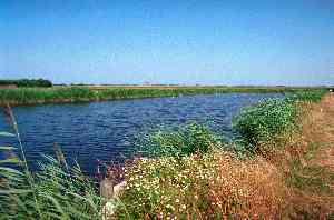 helo_3_2_8.jpg (8719 bytes)