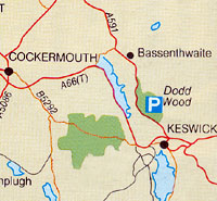 kaartje_Dodd_Wood.jpg (19516 bytes)