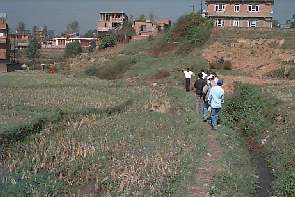 kusu2.jpg (14383 bytes)