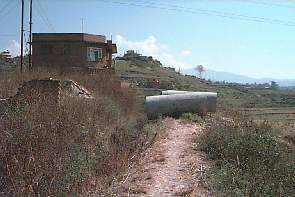 kusu4.jpg (12271 bytes)