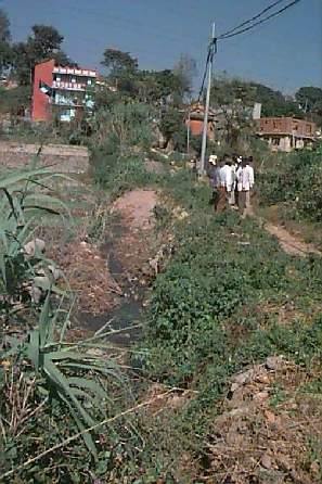 kusu5.jpg (35426 bytes)