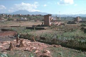 kusu6.jpg (16066 bytes)